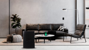 decorando preto e branco