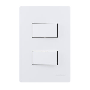 22185 2 interruptores simples 10A 250V~