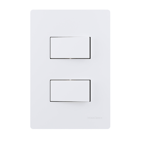 22185 2 interruptores simples 10A 250V~
